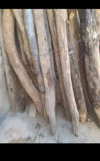 خریدار چوب