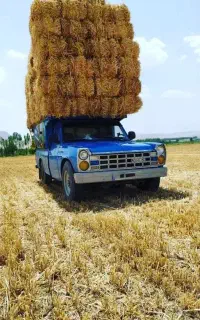 کاه پرس