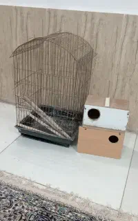 قفس ودوتا باکس