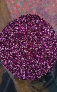 خشک شده گل محمدی امسال نادیلو