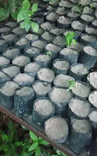 نایلکس ماسه زده