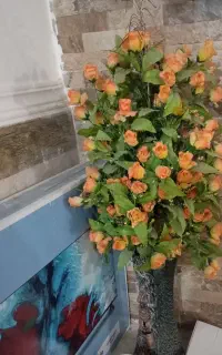 درختچه