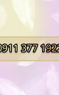 09113771922