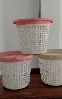 سبد