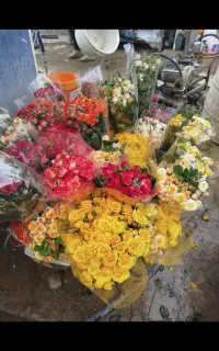 کارگر