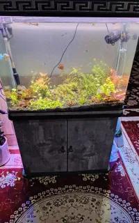 اکواریوم شرکتی شیشه خم