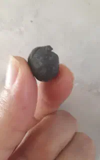 شهاب سنگ