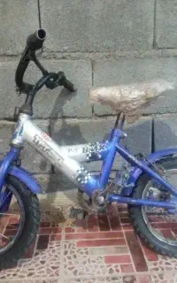 دوچرخه