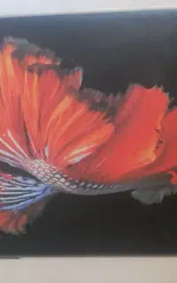 آیفون ۶ اس ۶۴ گیگ در حد نو