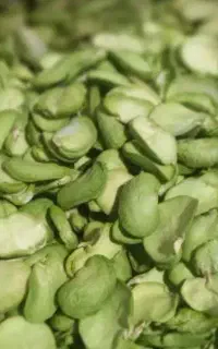 باقلا سبز پرک شده خشک