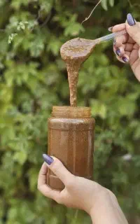 روزی یک قاشق بخور پادشاهی کن