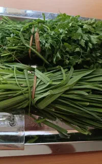 سبزی، قرمه سبزی  ارسال  رایگان
