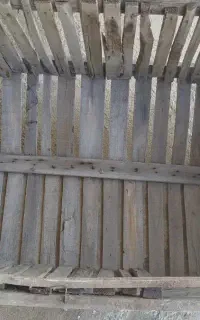 لونه قشنگی است برای  جوجه بزرگ  3تا 4 جا میشه