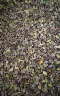 خریدار پسته پوک وروابی