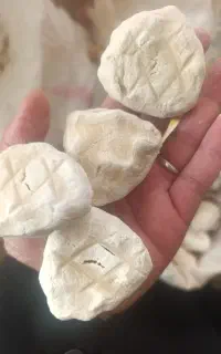 کشک گوسفندی مشتری واقعی بزنگه