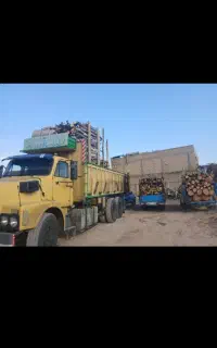 خریدارچوب گز کهور کرت اکولاپیتوس ازتمام نقاط کشور