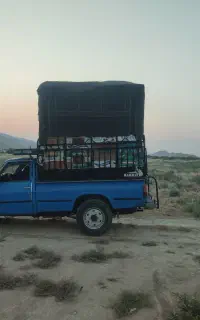 نیسان وانت