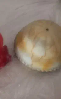 کاسه لوستر