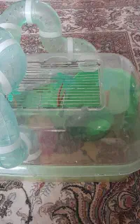 قفس همستر و خرگوش