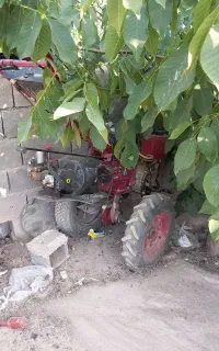فروش تیلر پاکنی