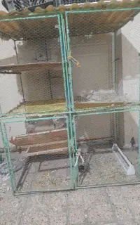 طبرسی شمالی۱۳