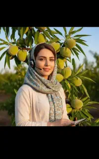 فروش نهال سیب بادام گردو مرکبات صنوبر زیتون گلدانی