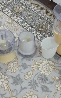 آب میوه گیر