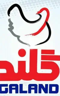 جذب نیروی کار کشتارگاه طیور گلند