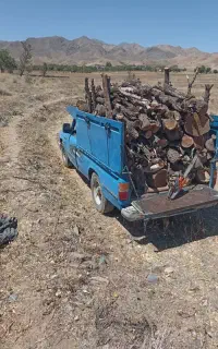 خرید چوب باغی
