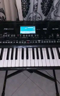 ارگ pa300