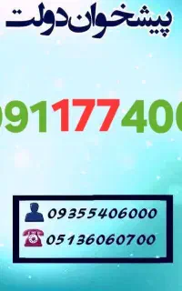 0991.177.4007