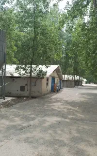 کارگر مرغداری گوشتی