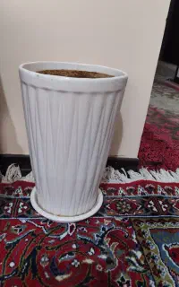 فروش گلدان