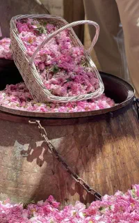 کاشان۵۰۰ تومن