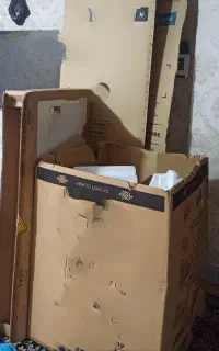 فروش کارتون