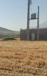 کاه اسباب بازی برا گوسفند