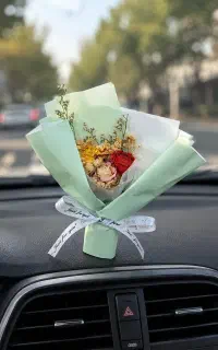 خوشبو کننده ماشین طرح گل دارای اسانس