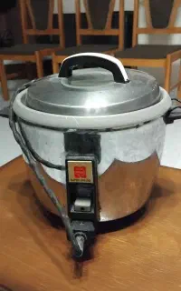 پلوپز برقی