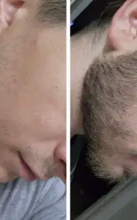 مثل لوبیای سحر امیز رشد میکنه