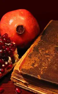 به تعدادی نیروی کار احتیاج داریم