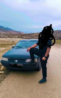 پژوی اردی