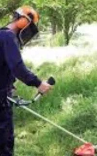 علف زنی باغ وباغچه