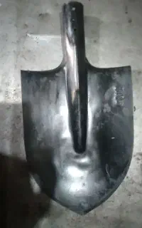بیل روسیی