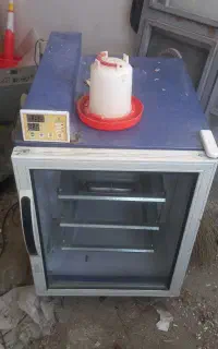 جوجه کشی ۱۲۶تایی