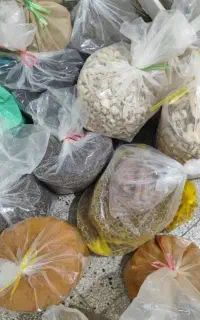 ادویه جات زیر قیمت مشهد