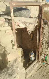در کوله کبوتر و مرغ