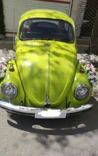 ماشین عروس