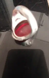 انگشتر نقره
