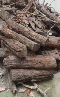 چوب باغی و انگور