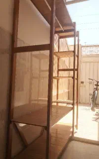 رگال